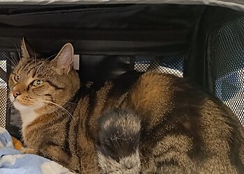 Thorsten Neunzig Tierarztpraxis im Koelle Zoo Ludwigshafen image Thorsten Neunzig Tierarztpraxis im Koelle Zoo Ludwigshafen