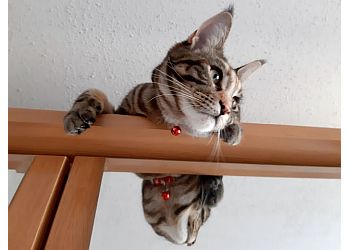 Tierarzt Betcher photo Tierarzt Betcher