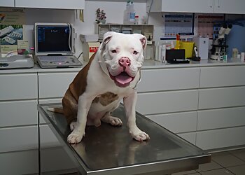 Tierarzt Betcher image Tierarzt Betcher