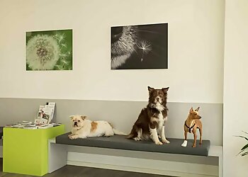 Tierarzt Praxis Langwasser image Tierarzt Praxis Langwasser