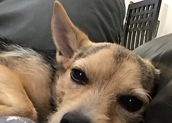 Tierarztpraxis Alte Feuerwache image Tierarztpraxis Alte Feuerwache