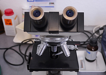 Tierarztpraxis Becker image Tierarztpraxis Becker