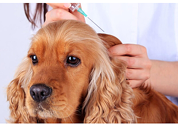 Tierarztpraxis Bozicevic image Tierarztpraxis Bozicevic