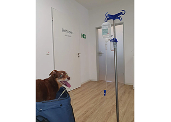 Tierarztpraxis Brander Wald image Tierarztpraxis Brander Wald