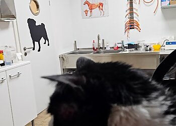 Tierarztpraxis Daniela Geldmacher photo Tierarztpraxis Daniela Geldmacher