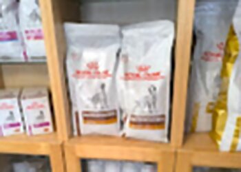 Tierarztpraxis Dr. Alexandra Schlupp photo Tierarztpraxis Dr. Alexandra Schlupp