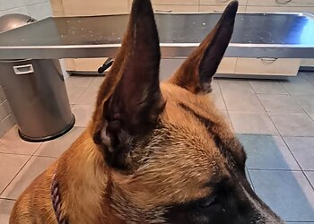 Tierarztpraxis Dr. Alexandra Schlupp image Tierarztpraxis Dr. Alexandra Schlupp