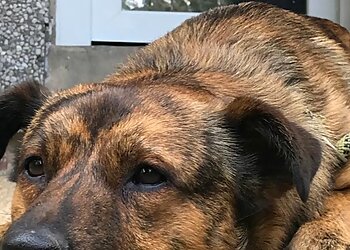 Tierarztpraxis Dr. Ansgar Waldmann image Tierarztpraxis Dr. Ansgar Waldmann