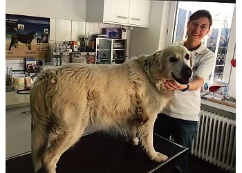 Tierarztpraxis Dr. Bendel image Tierarztpraxis Dr. Bendel