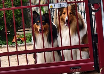 Tierarztpraxis Dr. Gisela Haverkamp photo Tierarztpraxis Dr. Gisela Haverkamp