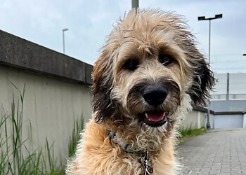 Tierarztpraxis Dr. Hausner image Tierarztpraxis Dr. Hausner