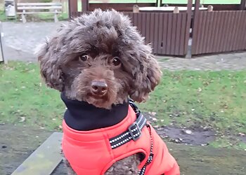 Tierarztpraxis Dr. Johannes Kohtes image Tierarztpraxis Dr. Johannes Kohtes