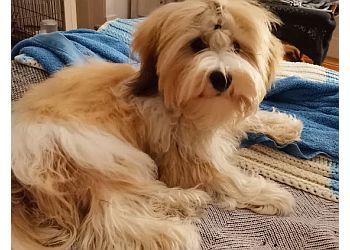 Tierärztliche Praxis für Haus- und Heimtiere Dr. Jörg Rottmayer image Tierärztliche Praxis für Haus- und Heimtiere Dr. Jörg Rottmayer