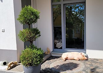 Tierarztpraxis Dr. Niels Mensing photo Tierarztpraxis Dr. Niels Mensing