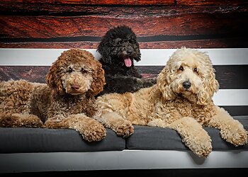 Tierarztpraxis Dr. Niels Mensing image Tierarztpraxis Dr. Niels Mensing