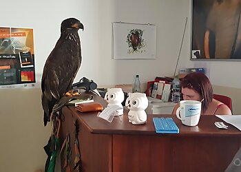 Tierarztpraxis Dr. Sascha Schütz photo Tierarztpraxis Dr. Sascha Schütz