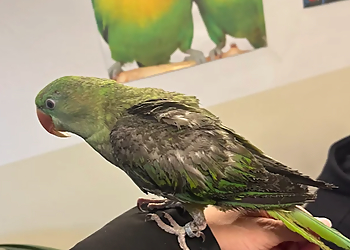 Tierarztpraxis Dr. Sascha Schütz image Tierarztpraxis Dr. Sascha Schütz