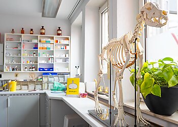 Tierarztpraxis Dr. Süß photo Tierarztpraxis Dr. Süß