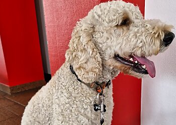 Tierarztpraxis Dr. Süß image Tierarztpraxis Dr. Süß