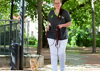 Tierarztpraxis Dr. Zimpfer Potsdam image Tierarztpraxis Dr. Zimpfer Potsdam