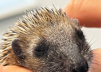 Tierarztpraxis Dr. med. vet. Norbert Paulus image Tierarztpraxis Dr. med. vet. Norbert Paulus