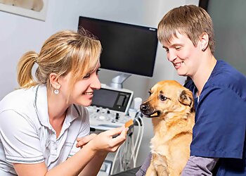 Tierarztpraxis Düsselpfoten photo Tierarztpraxis Düsselpfoten