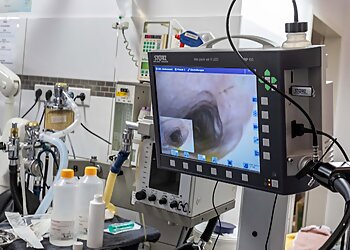 Tierarztpraxis Düsselpfoten image Tierarztpraxis Düsselpfoten