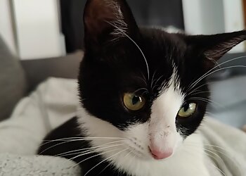 Tierarztpraxis Friedberg-Hochzoll GmbH image Tierarztpraxis Friedberg-Hochzoll GmbH