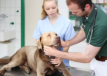 Tierarztpraxis Julius Ostermann photo Tierarztpraxis Julius Ostermann