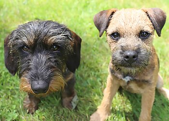 Tierarztpraxis Julius Ostermann image Tierarztpraxis Julius Ostermann