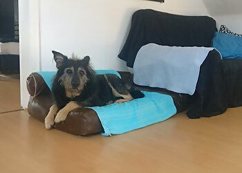 Tierarztpraxis Melanie Seidel photo Tierarztpraxis Melanie Seidel