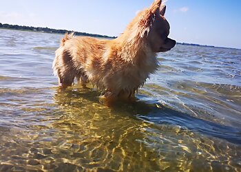 Tierarztpraxis Melanie Seidel image Tierarztpraxis Melanie Seidel