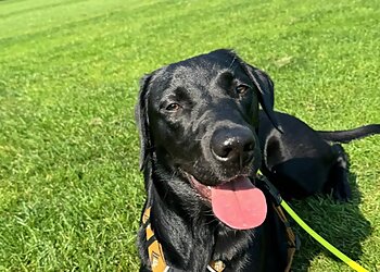 Tierarztpraxis Radev & Schilp image Tierarztpraxis Radev & Schilp