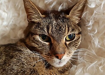 Tierarztpraxis Ruhrblick photo Tierarztpraxis Ruhrblick