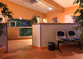 Tierarztpraxis Rödiger Das Veterinärmedizinische Zentrum Berlin photo Tierarztpraxis Rödiger Das Veterinärmedizinische Zentrum Berlin