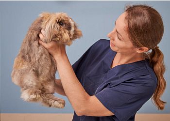 Tierarztpraxis Vegesack photo Tierarztpraxis Vegesack