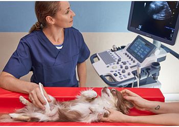 Tierarztpraxis Vegesack image Tierarztpraxis Vegesack