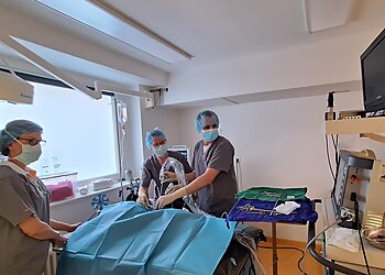 Tierarztpraxis am Dorney photo Tierarztpraxis am Dorney