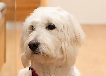 Tierarztpraxis am Dorney image Tierarztpraxis am Dorney