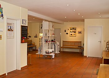 Tierarztpraxis am Paulshof photo Tierarztpraxis am Paulshof