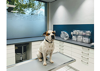 Tierarztpraxis am Südbahnhof image Tierarztpraxis am Südbahnhof