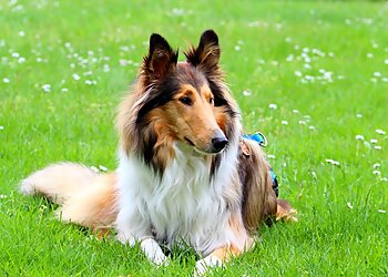 Tierarztpraxis am Zoo-Dres. Sarah und Ulf Reichert image Tierarztpraxis am Zoo-Dres. Sarah und Ulf Reichert