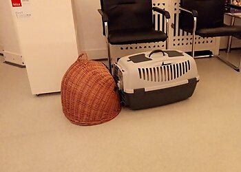 Tierarztpraxis hundkatzeklaus photo Tierarztpraxis hundkatzeklaus