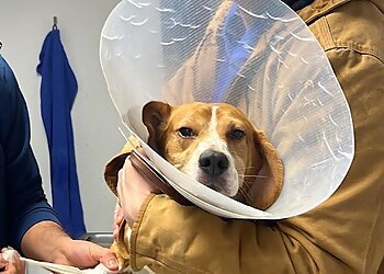 Tiergesundheitszentrum Wiesbaden-Bierstadt image Tiergesundheitszentrum Wiesbaden-Bierstadt