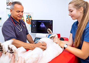Tierklinik Bockenheim image Tierklinik Bockenheim