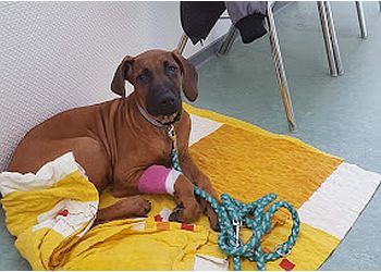 Tierklinik Kaiserberg photo Tierklinik Kaiserberg