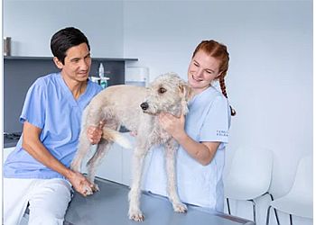 Tierklinik Kalbach-Fachklinik für Kleintiere Frankfurt photo Tierklinik Kalbach-Fachklinik für Kleintiere Frankfurt