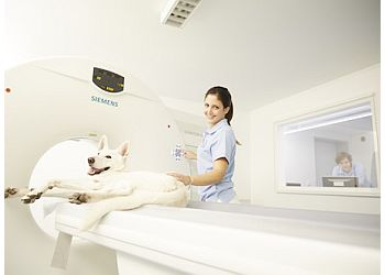 Tierklinik Kellerwessel image Tierklinik Kellerwessel