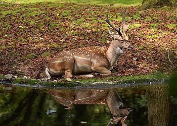 Tierpark Hellabrunn photo Tierpark Hellabrunn