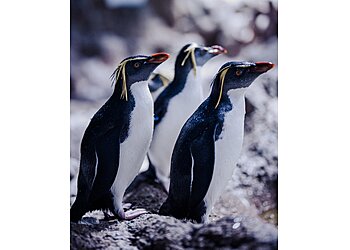 Tierpark Hellabrunn image Tierpark Hellabrunn